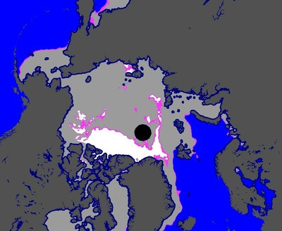 Første- og flerårsis per 29. feb. 2008